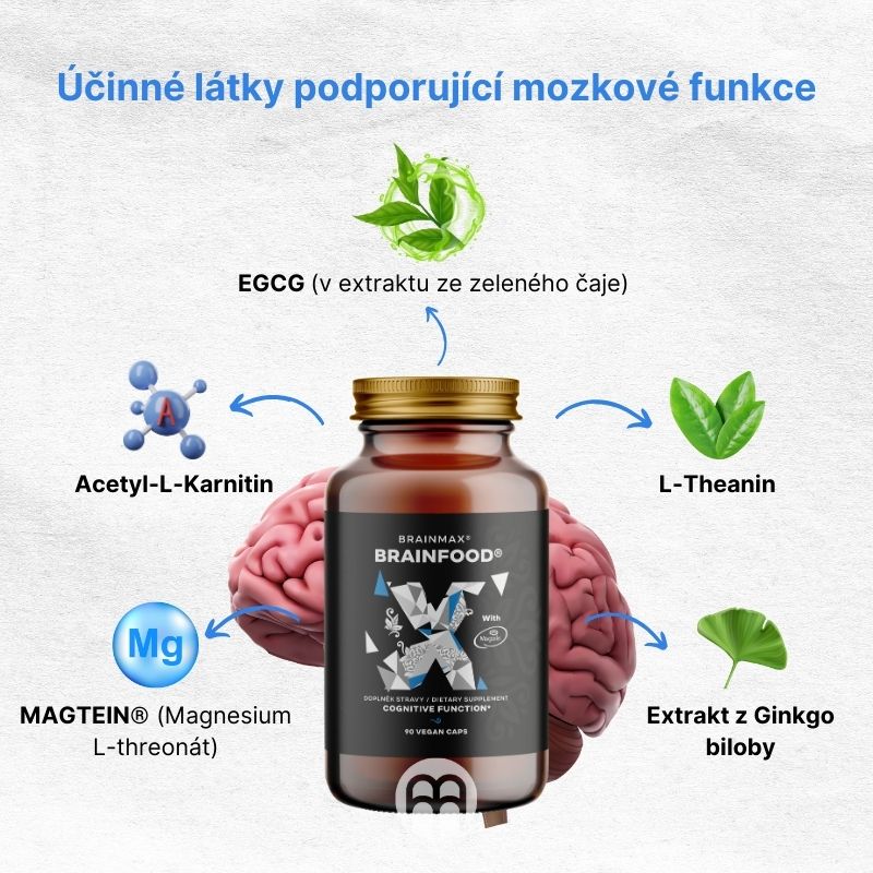 Účinné látky podporující mozkové funkce